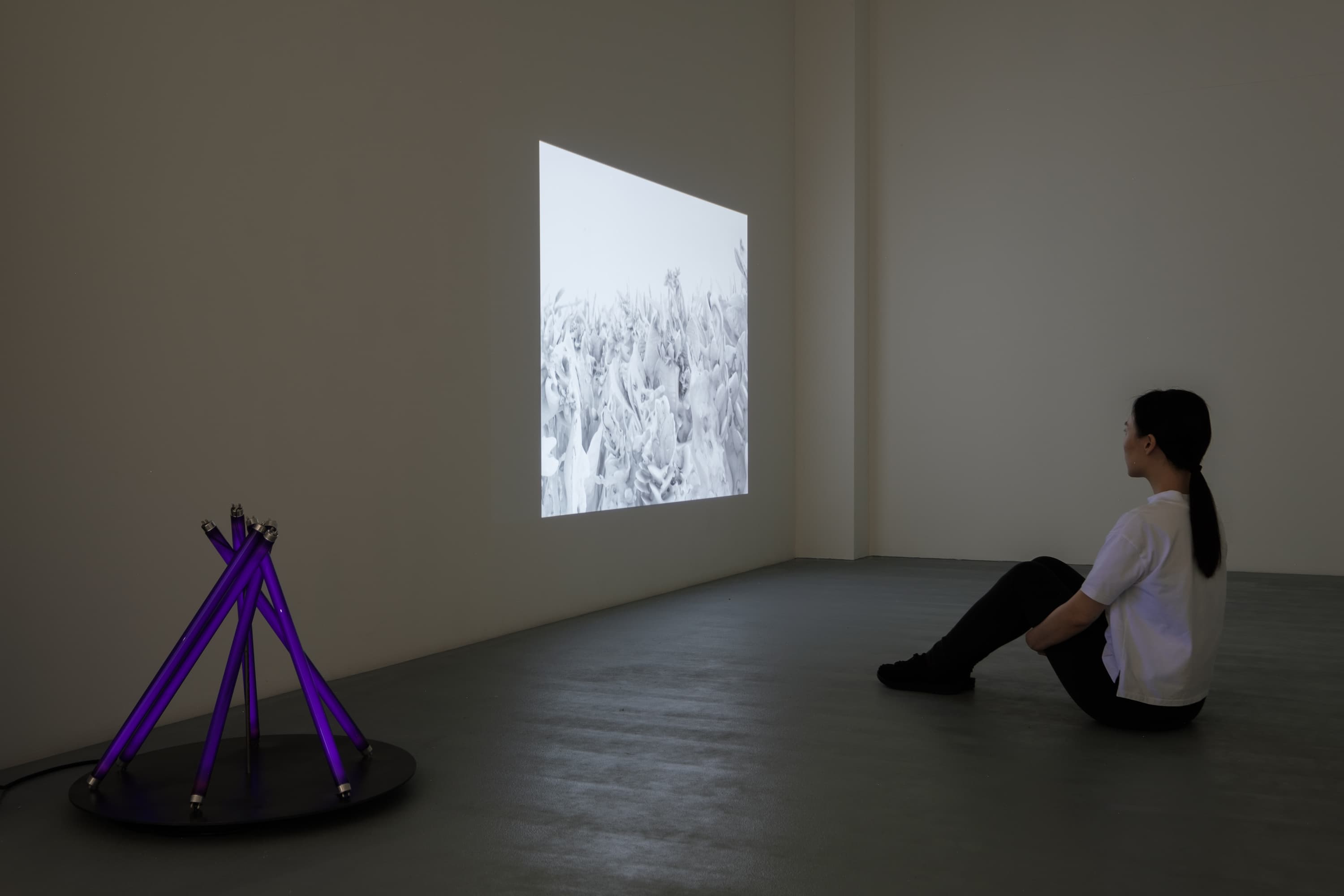 Exhibition view: visitors face a projection, with a purple tubular installation on the left.